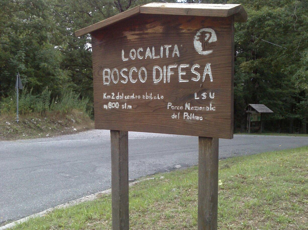 Bosco Difesa景点图片