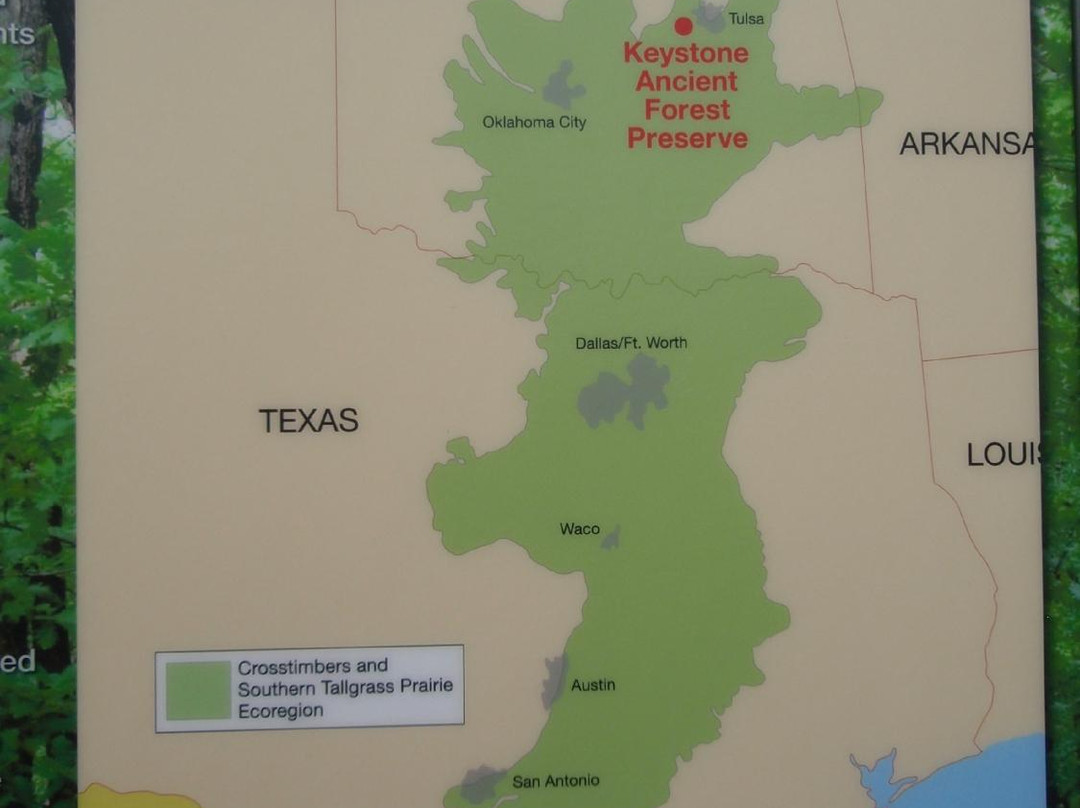 Keystone Ancient Forest-Sand Springs必去景点