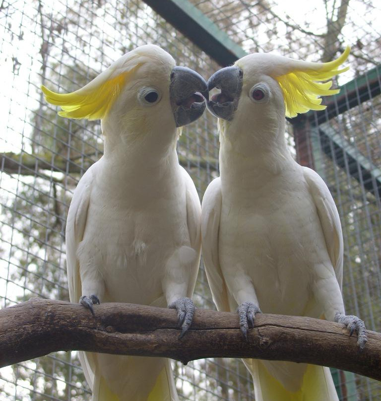 Il Parco Degli Uccelli