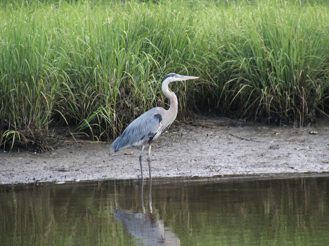 Badfish Charters-Ocean View必去景点