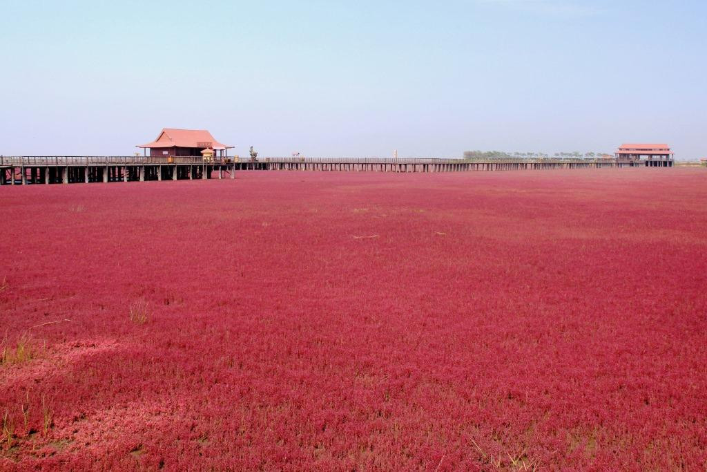 辽河三角洲-盘锦市必去景点