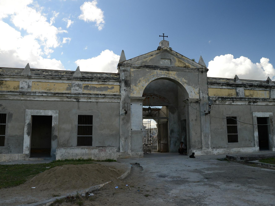 Cementerio la Reina景点图片