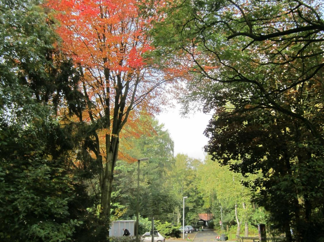 Landhotel Linden Am Venekotensee主图