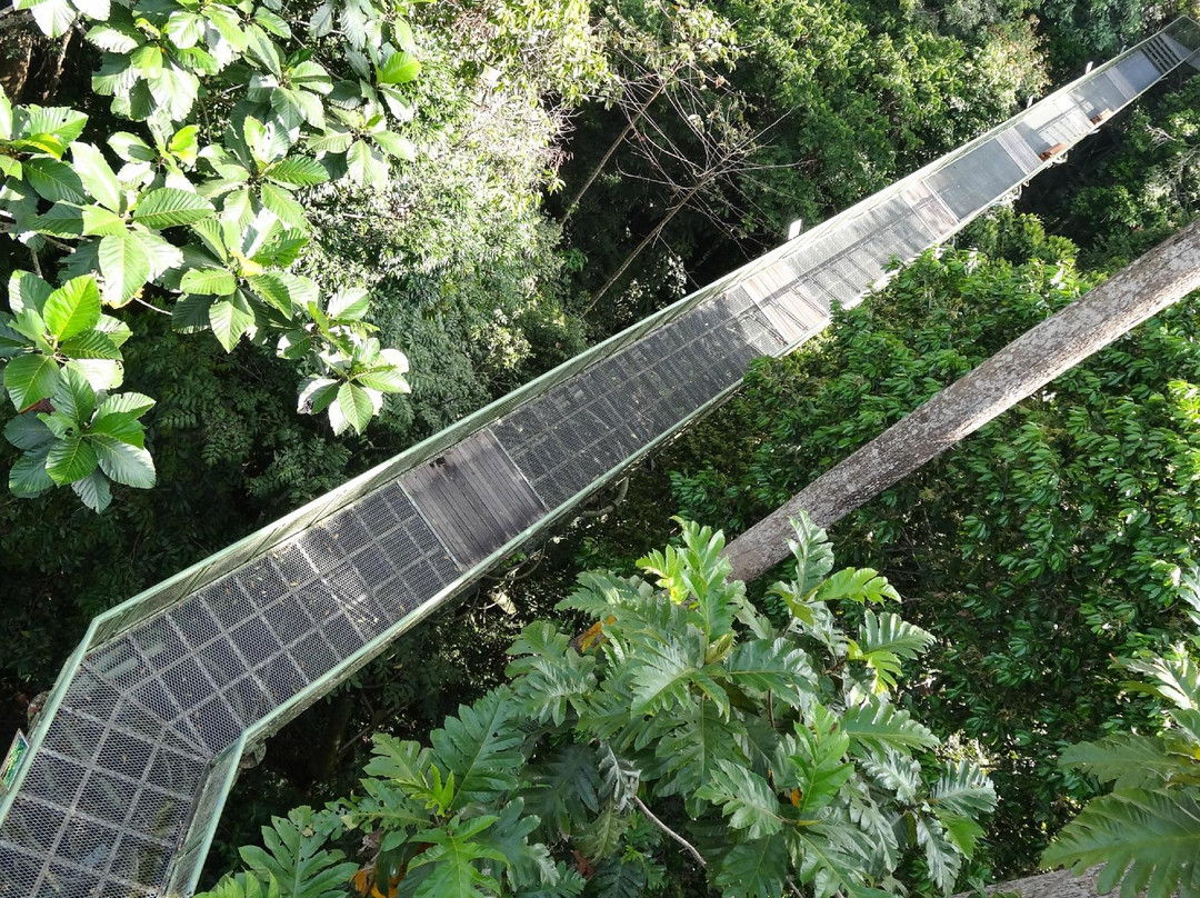 Sandakan Rainforest Discovery Centre (RDC)-山打根必去景点