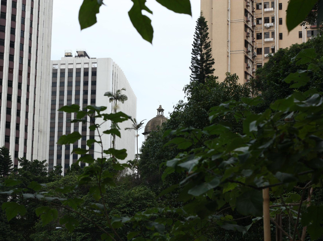 活现香港的香港一日游-香港必去景点