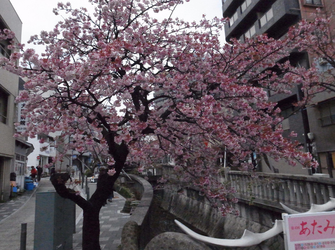 Itokawa Path-热海市必去景点
