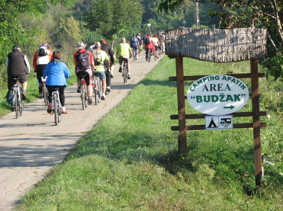 Camping Budzak