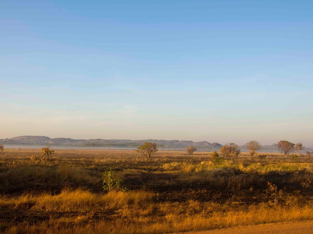 Guluyambi Cultural Cruise-卡卡杜国家公园必去景点