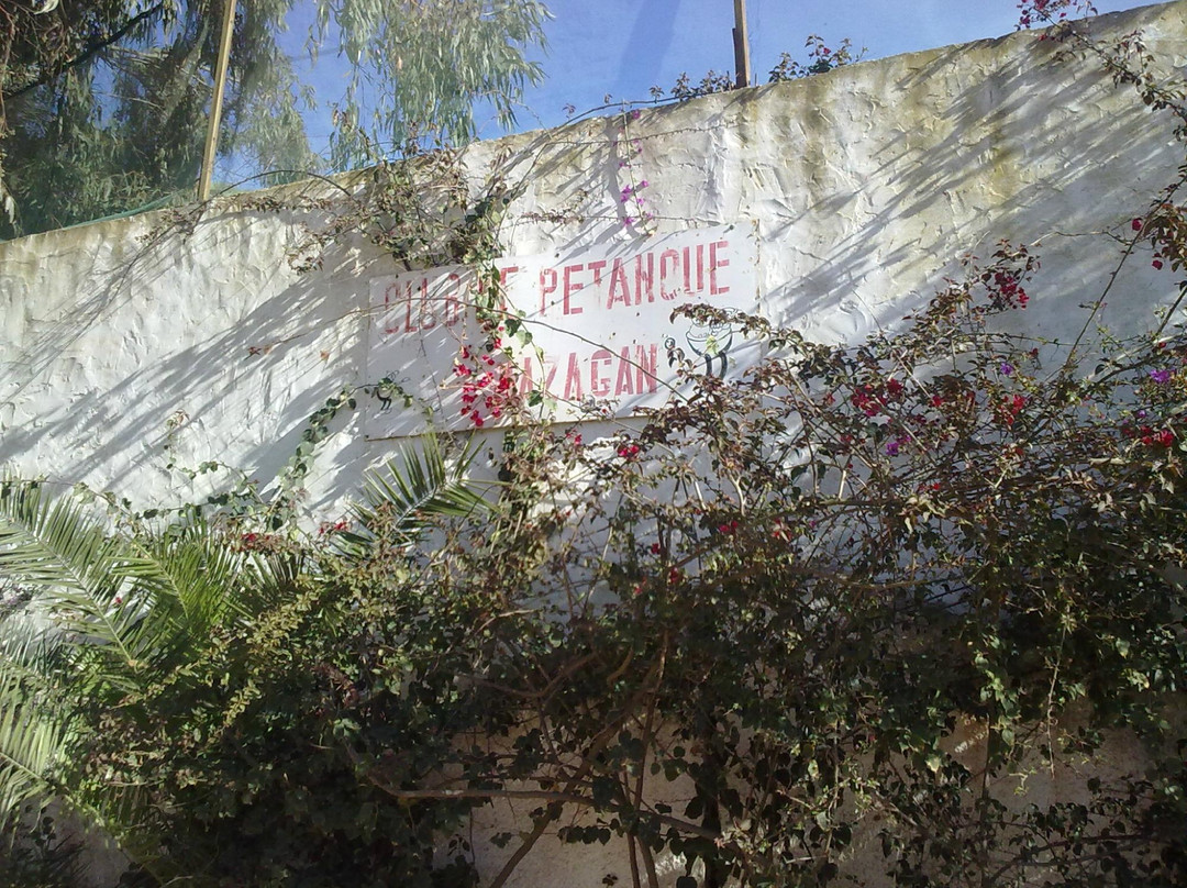 Parc Hassan II-摩洛哥-马扎甘葡萄牙城必去景点