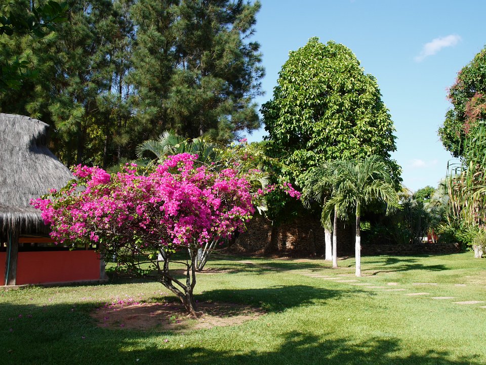 Posada La Casita-官方