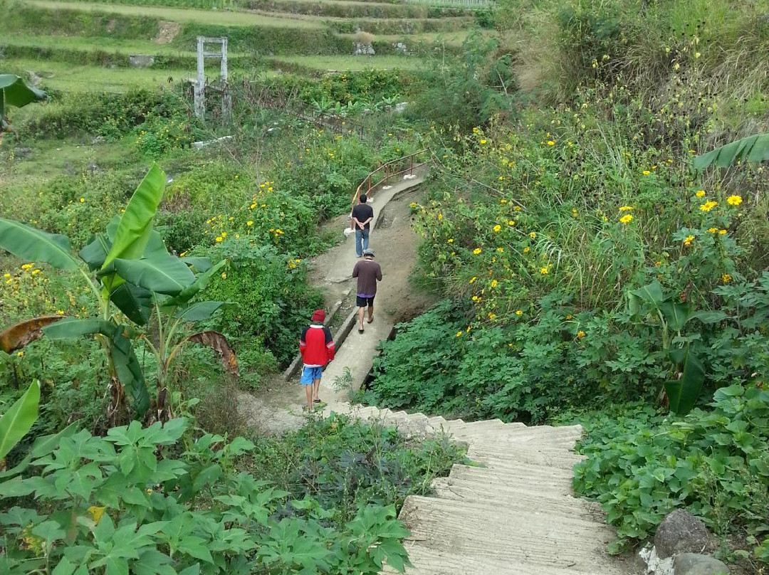 Pongas Falls-萨加达必去景点
