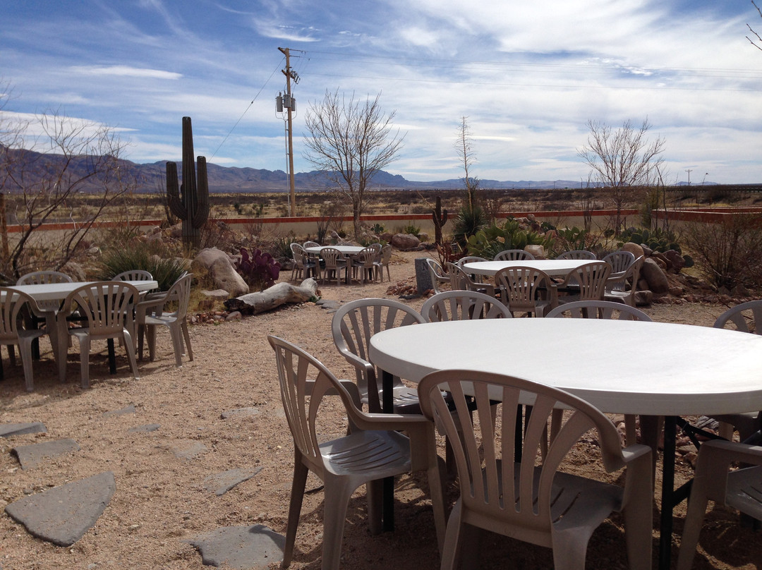Chiricahua Desert Museum景点图片