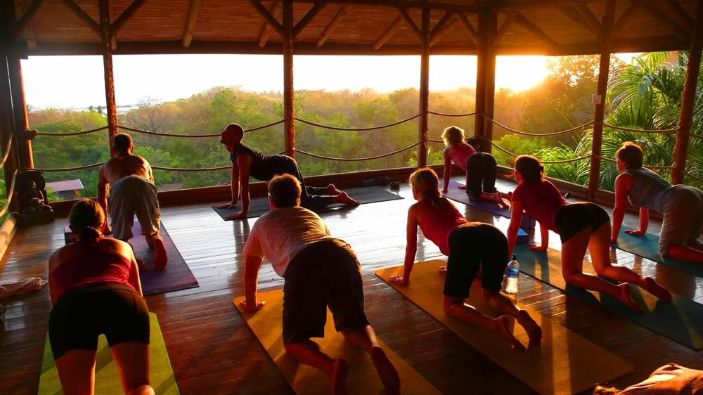 Horizon Yoga Center & Tea House-圣特雷莎必去景点