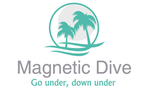 Magnetic Dive Day Course-Magnetic Island必去景点