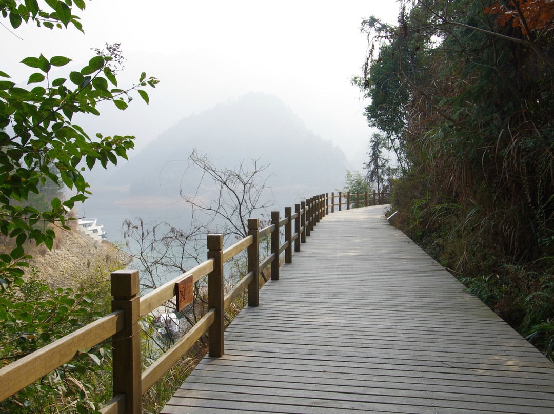 杭州千岛湖国家森林公园-淳安县必去景点