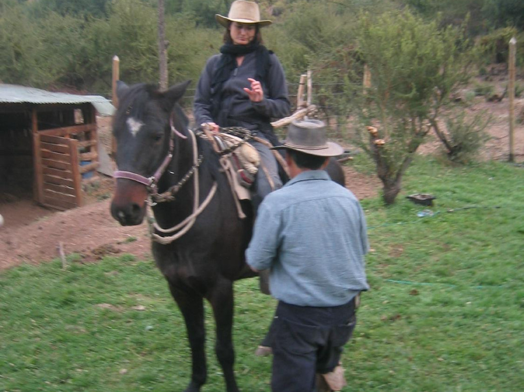 Horse Riding Chile-圣地亚哥必去景点