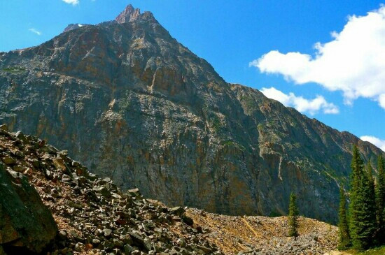 Table Mountain景点图片