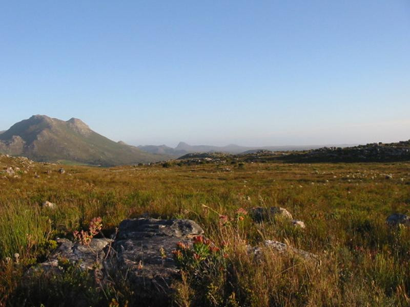 Walk in Africa - Hikes and Tours around Cape Town-开普敦中心区必去景点