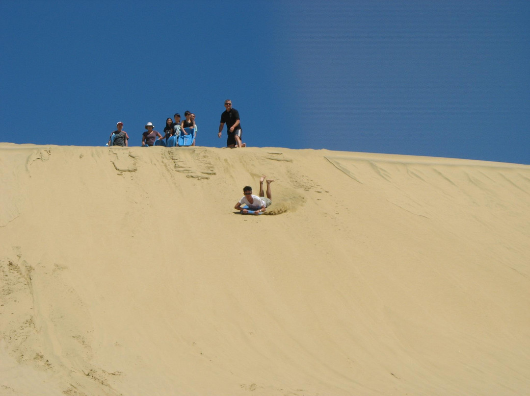 Harrisons Cape Runner景点图片