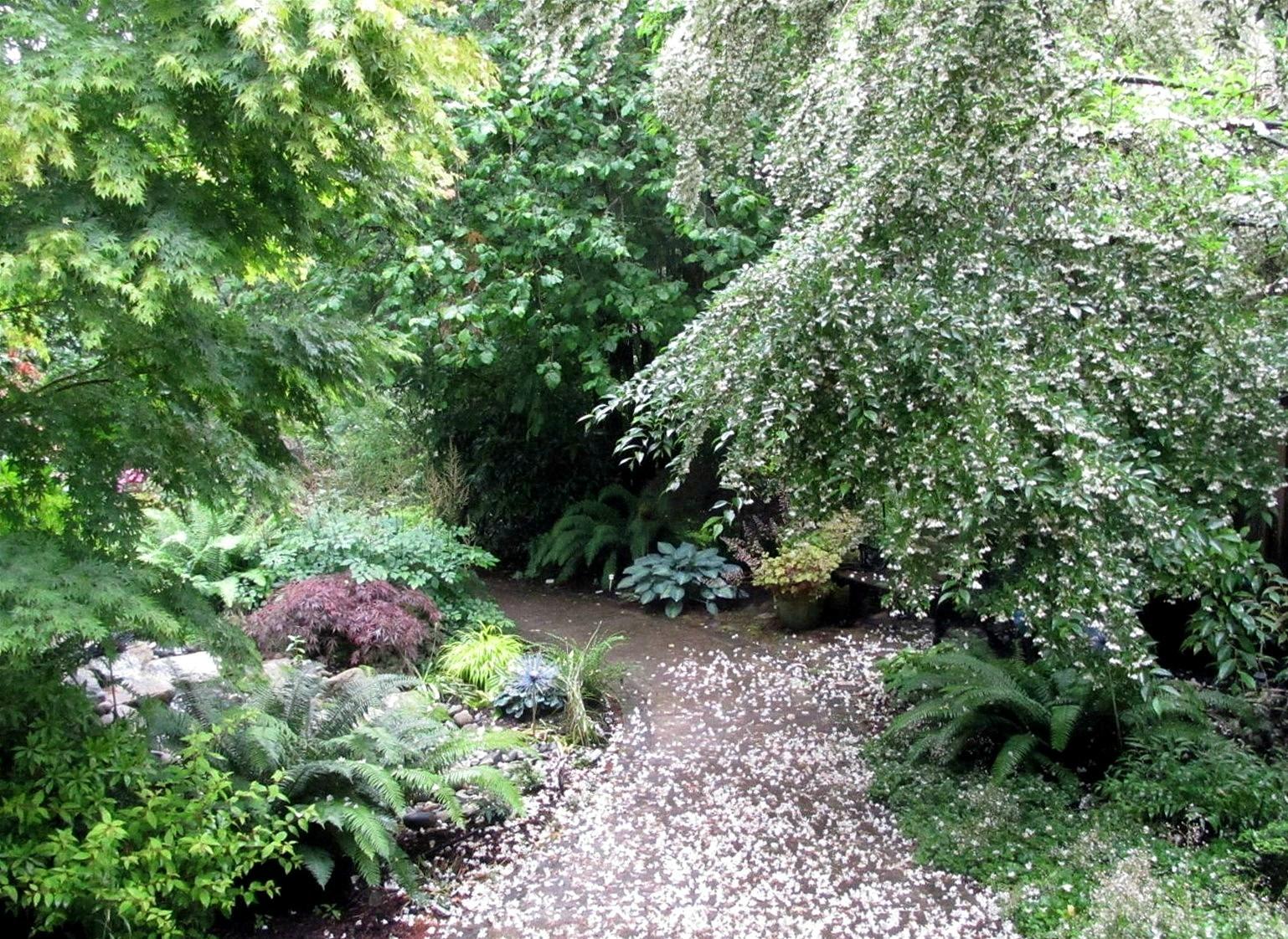 Cottage Lake Gardens Bed and Breakfast-客卧