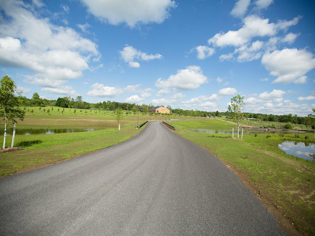 Owera Vineyards-Cazenovia必去景点