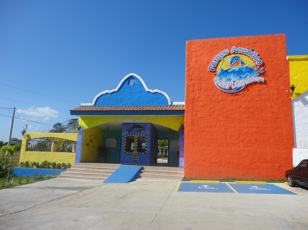Parque Acuático Italia Guadalupe Panamá景点图片