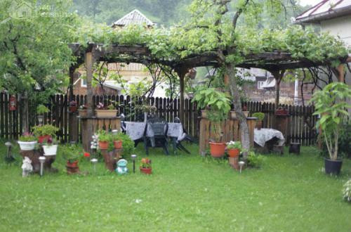 Agriturismo Petreus Irina主图