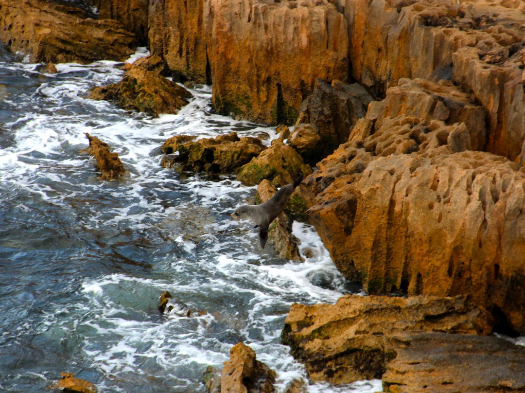 Fowlers Bay旅游攻略图片