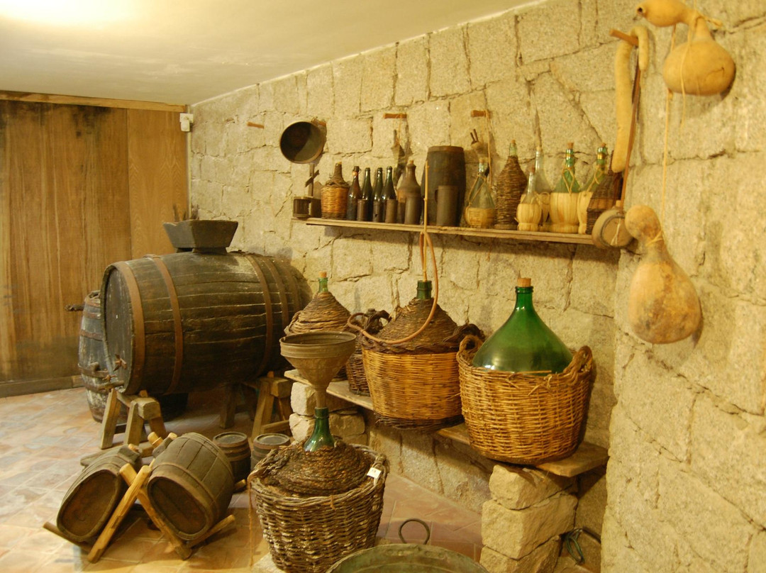Bortigiadas旅游景点-MEOC -Museo Etnografico Oliva Carta Cannas