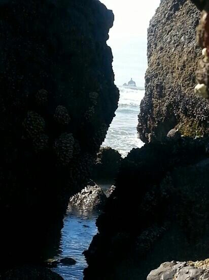 Tillamook Head National Recreation Trail-锡赛德必去景点