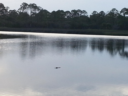 Faver-Dykes State Park-圣奥古斯丁必去景点