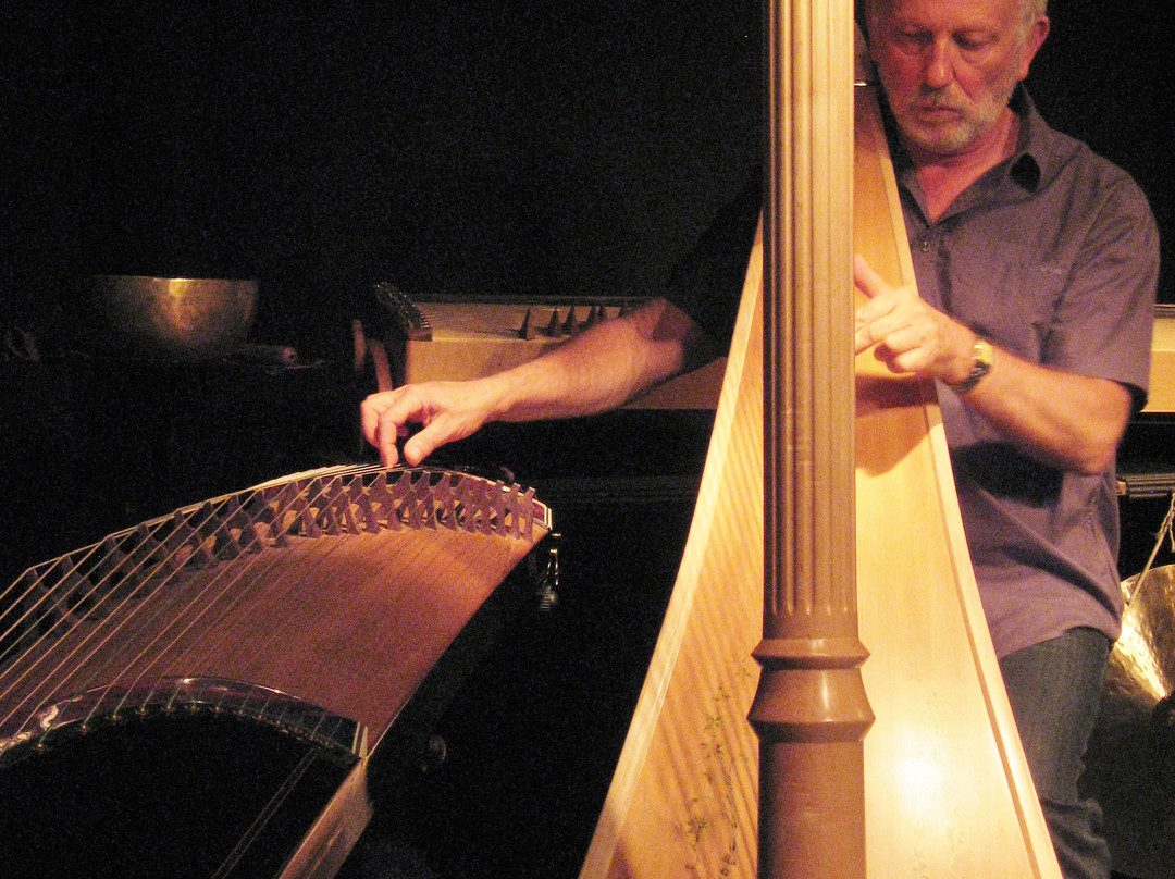 Luc Vanlaere Harpist - Harp Museum-布鲁日必去景点