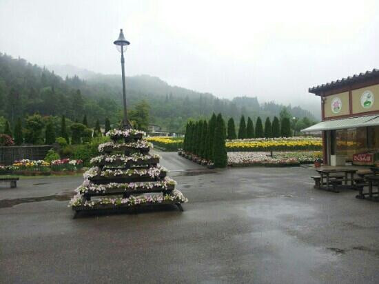 Iide Dondendaira Lily Garden景点图片