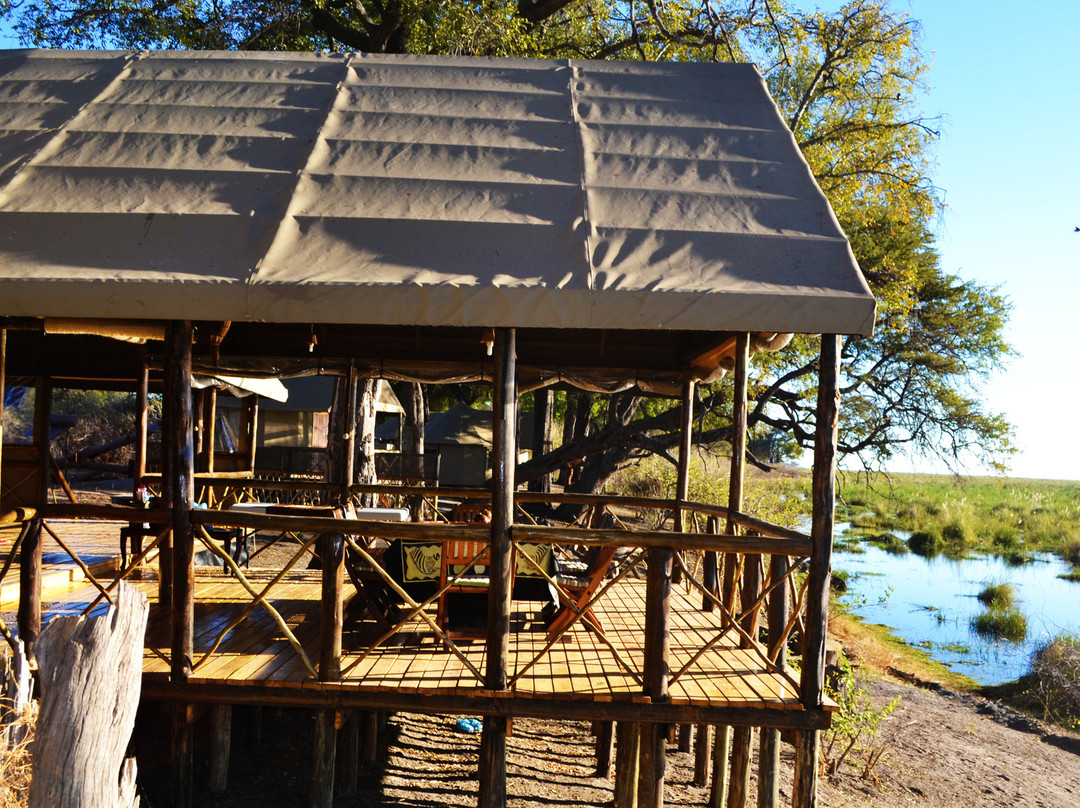 Camp Linyanti