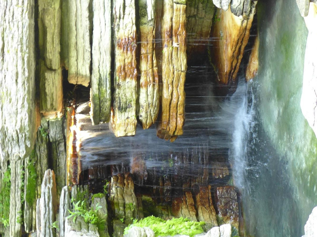 Alfred Caldwell Lily Pool-芝加哥必去景点