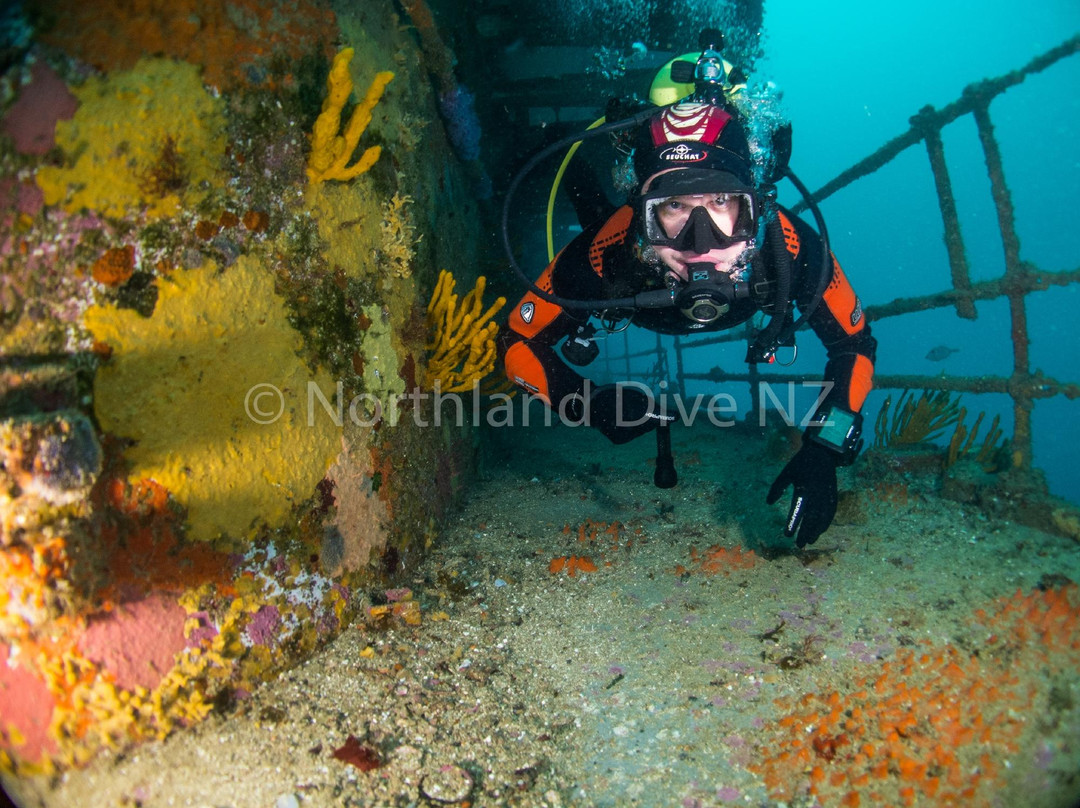 Northland Dive-Whangaruru必去景点