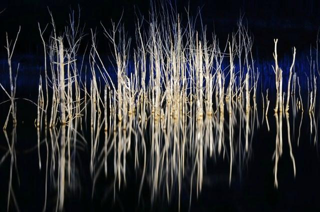 Lake Cuejdel-Piatra Neamt必去景点