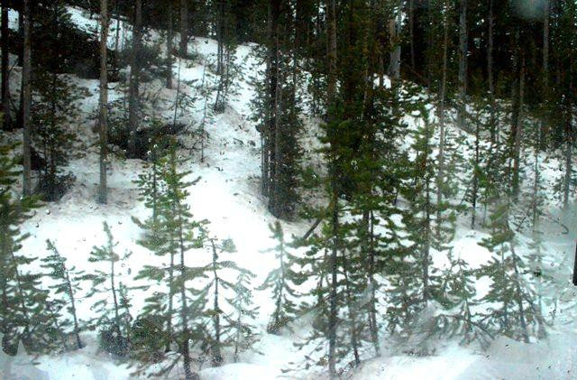 黄石间歇泉-泥火山地区-黄石国家公园必去景点