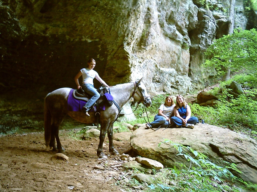 Blue Moon Acres-Laurelville必去景点
