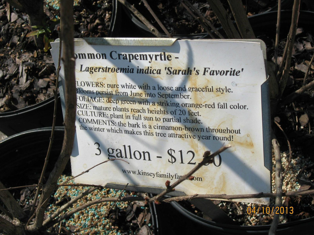 Kinsey Family Farm-盖恩斯维尔必去景点