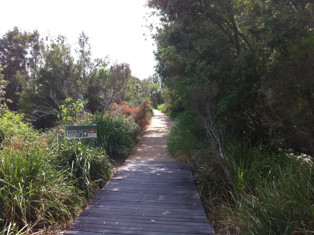 峭壁公园-悉尼必去景点