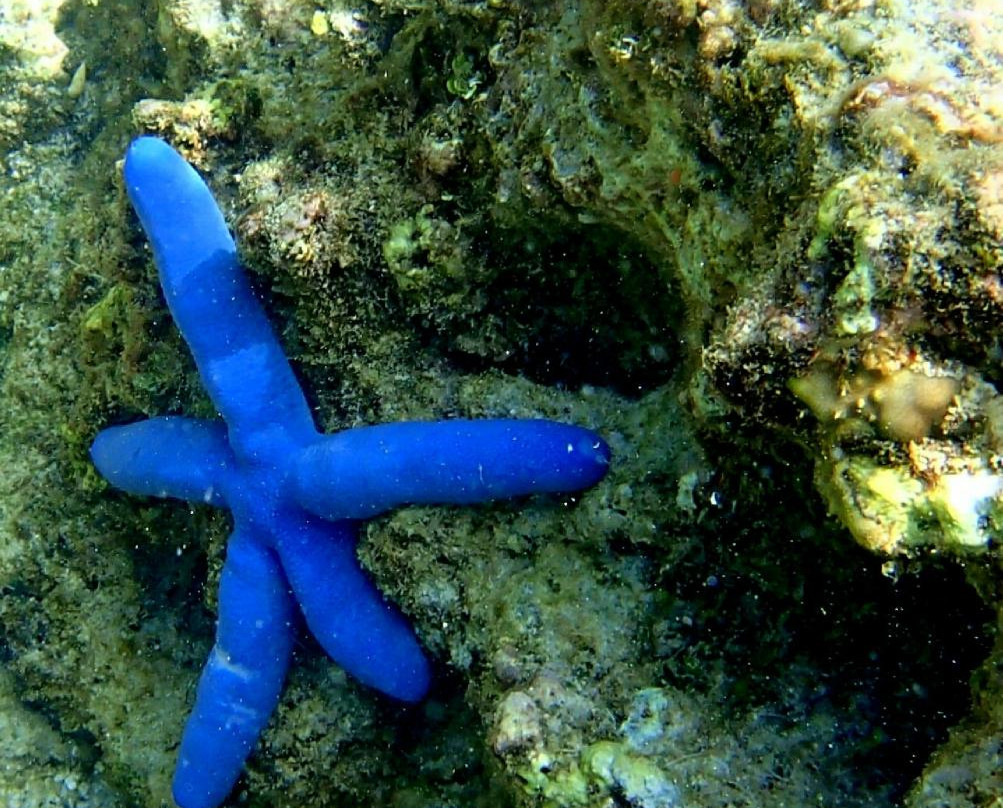 Star Beach-爱妮岛必去景点