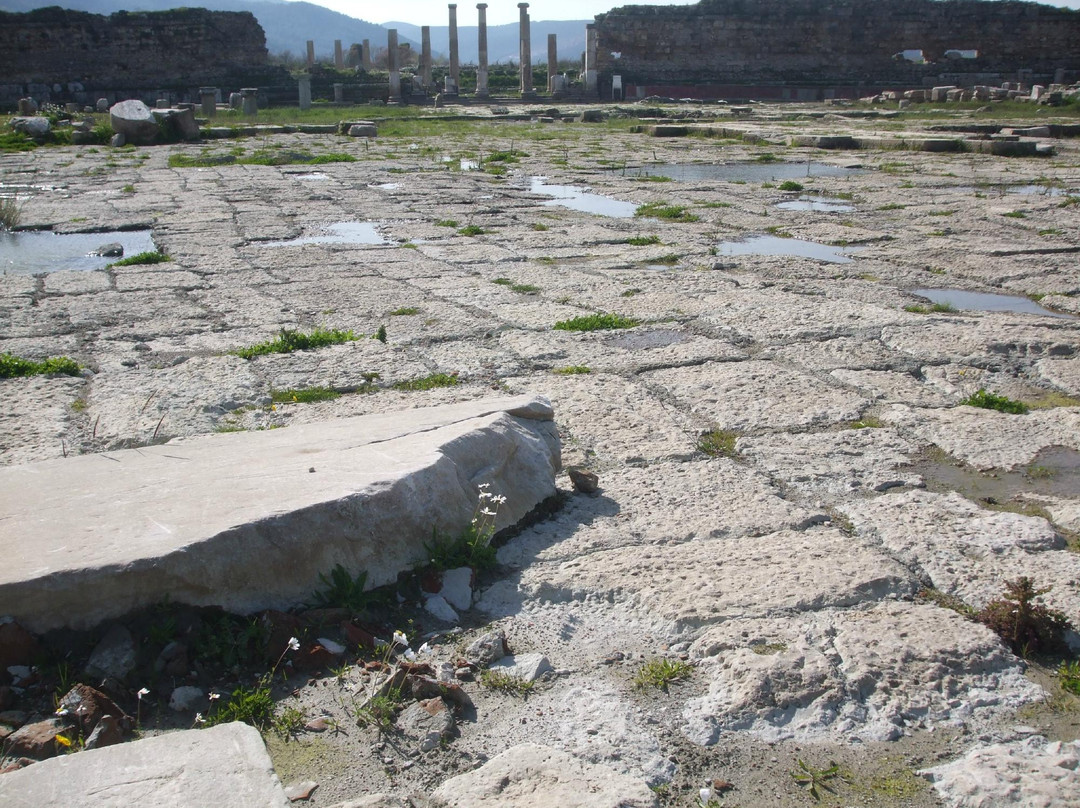 Magnesia Antik Kenti-Germencik必去景点