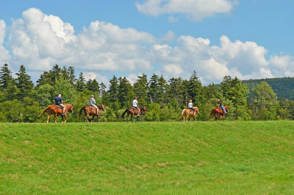 Cheat Mountain Stables-雪鞋山必去景点