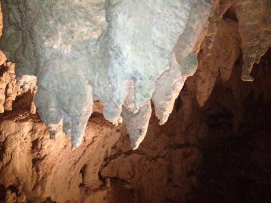 梦幻萤火虫洞之旅-蒂库伊蒂必去景点