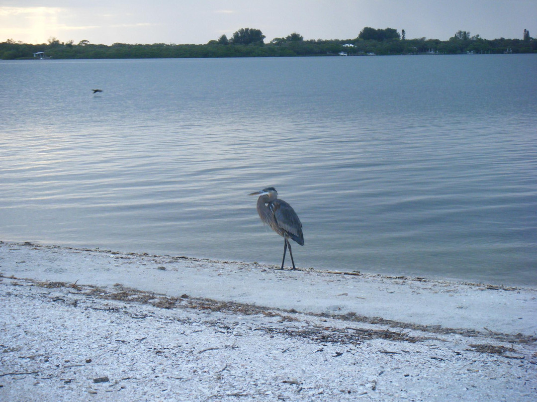 Indian Mound Park-恩格尔伍德必去景点