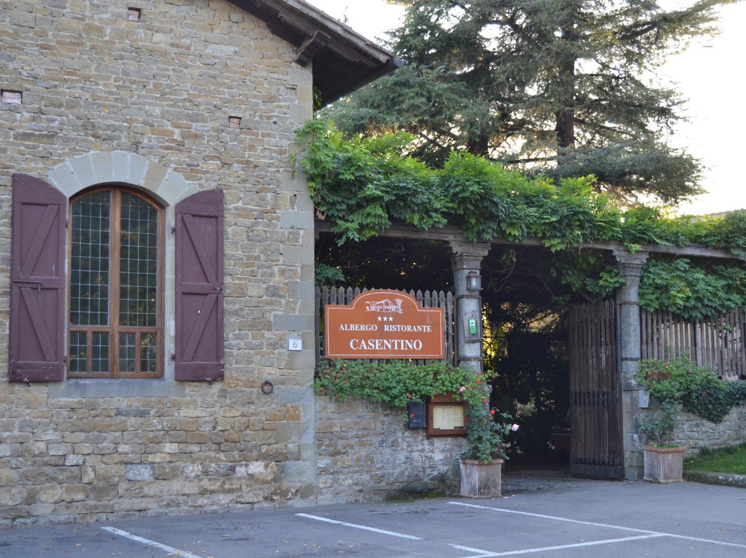 Albergo Ristorante Casentino主图