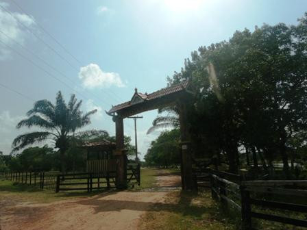 Sao Jeronimo Farm景点图片