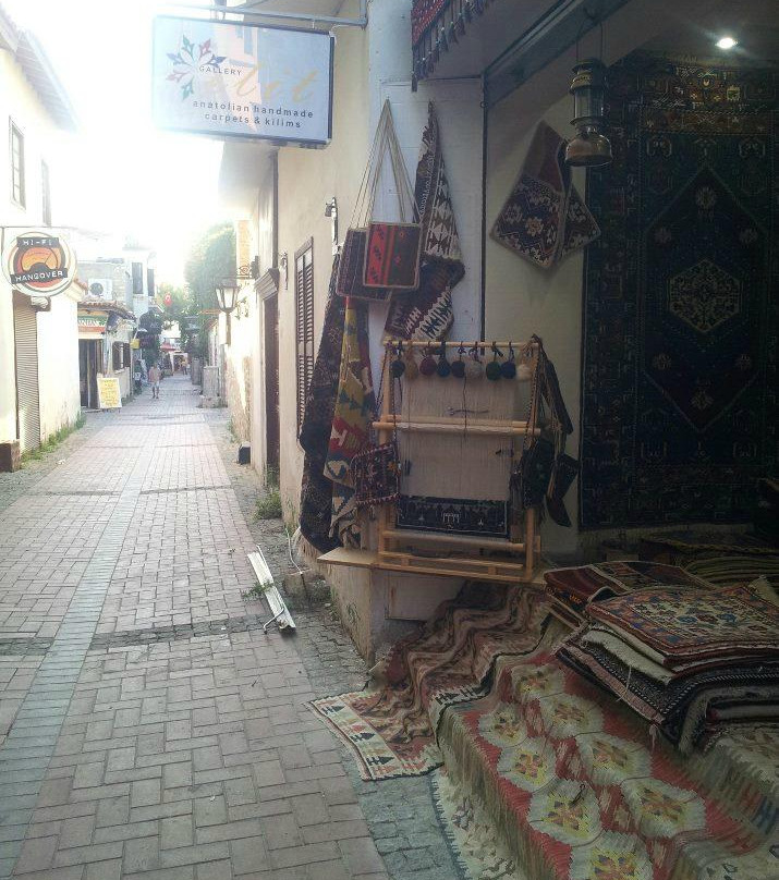 Gallery Elit- Anatolian Handmade Carpets & Kilims景点图片