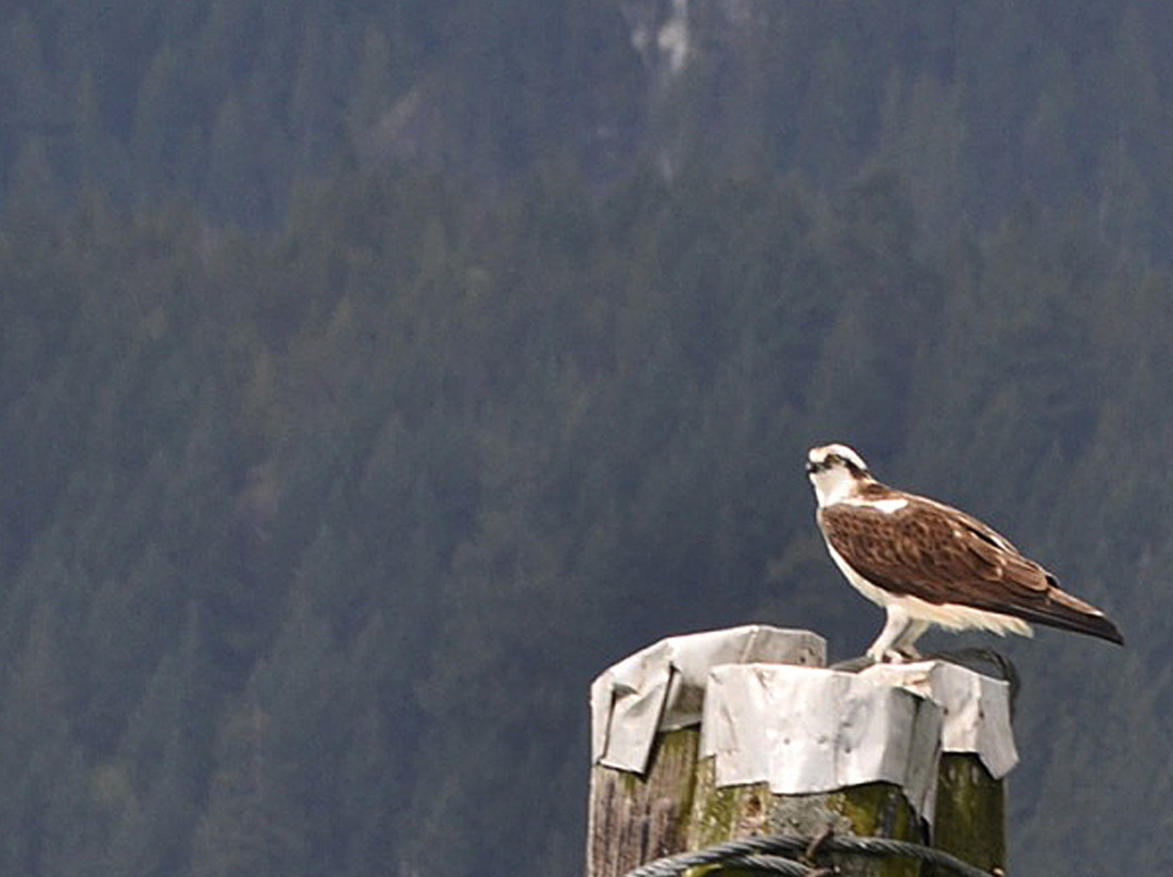 Harrison Eco Tours-哈里逊温泉必去景点